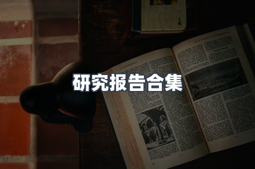 研究报告合集